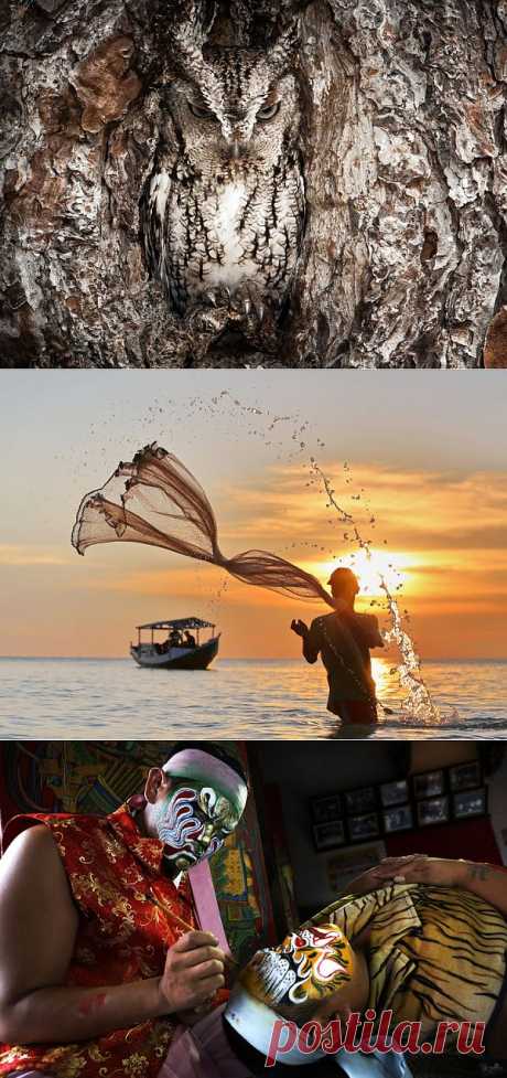 Победители фотоконкурса National Geographic Traveler 2013 | Живой фотоблог
