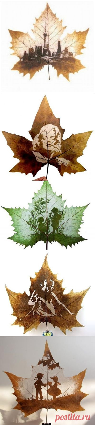 Одноклассники