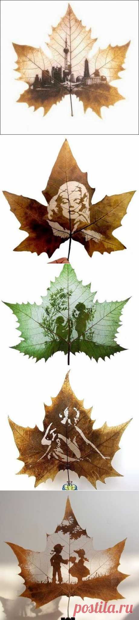 Одноклассники