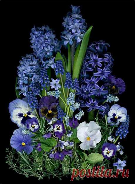 Спокойной ночи💙💜!