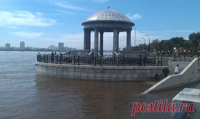 (9) Одноклассники