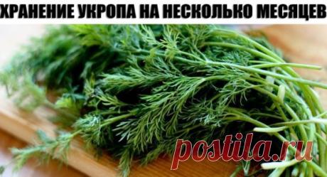 ХРАНЕНИЕ УКРОПА НА НЕСКОЛЬКО МЕСЯЦЕВ СВЕЖИМ БЕЗ ЗАМОРОЗКИ
Список ингредиентов
чистая сухая банка — ваше количество
чистая сухая зелень укропа — ваше количество
Способ приготовления
Покупала укроп, купила много. Думала морозить. Но продавщица, посоветовала сделать так, чтоб зелень оставалась несколько месяцев, как свежая! Её бабушка делала так, и она тоже мне порекомендовала. Меня заинтересовало. Р