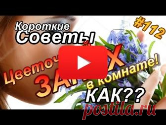 ЧТО ПИТЬ ЕСЛИ БОЛЯТ ПОЧКИ | Полезные советы