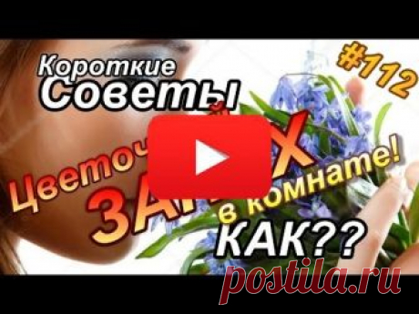 ЧТО ПИТЬ ЕСЛИ БОЛЯТ ПОЧКИ | Полезные советы