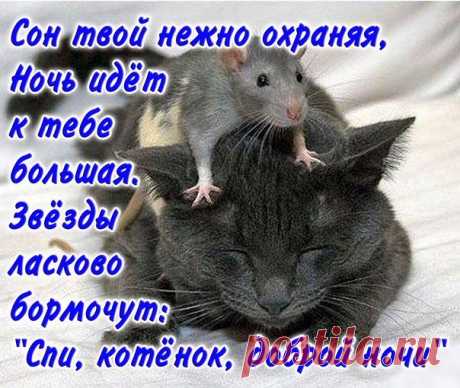 Стихи - пожелания спокойной ночи любимой девушке (21 картинка) ⭐ Забавник