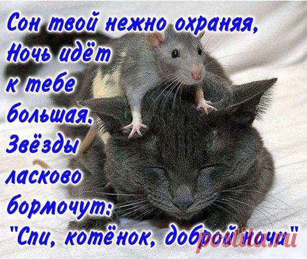 Стихи - пожелания спокойной ночи любимой девушке (21 картинка) ⭐ Забавник