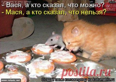 Кто сказал?