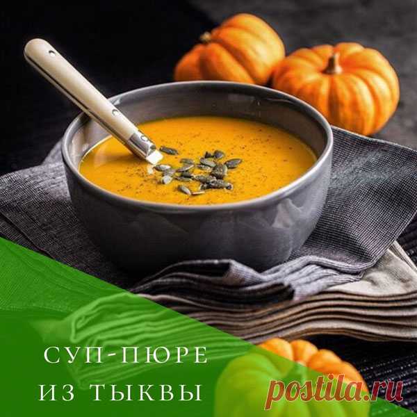 Диетический ПП суп пюре. Рецепты: грибный, овощной, куриный