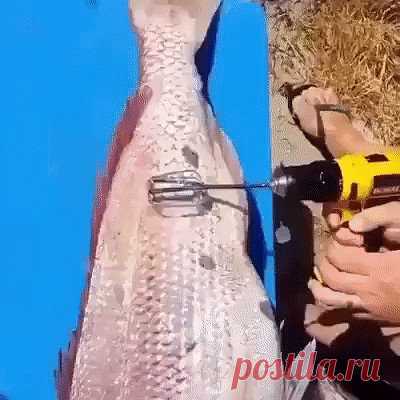 (61) Одноклассники