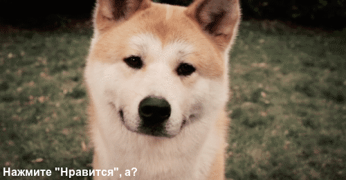 Мой Мир@Mail.Ru