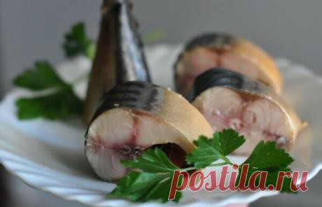 Скумбрия в бутылке на чае, как копченная. Готовится супер просто. | О нашем женском | Яндекс Дзен