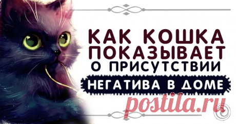 КАК КОШКА ПОКАЗЫВАЕТ О ПРИСУТСТВИИ НЕГАТИВА В ДОМЕ