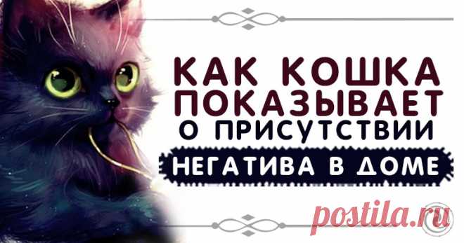 КАК КОШКА ПОКАЗЫВАЕТ О ПРИСУТСТВИИ НЕГАТИВА В ДОМЕ