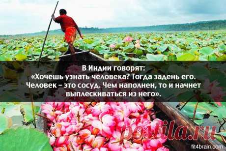 Одной фразой – Фитнес для мозга