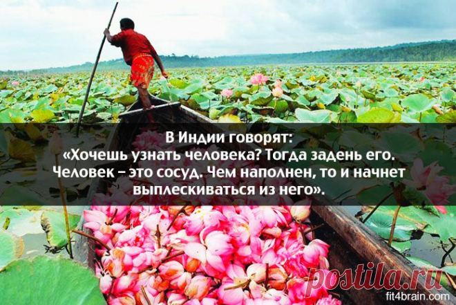 Одной фразой – Фитнес для мозга