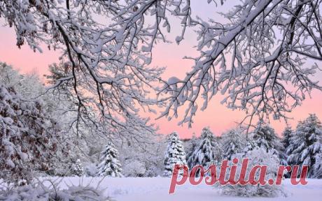 Народные приметы и поверья наступающей зимы | undefined (undefined)