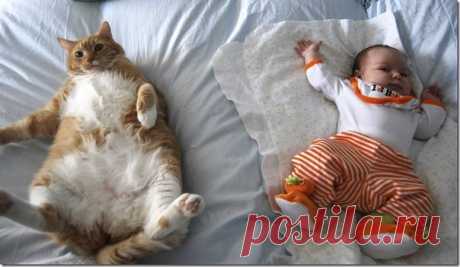 Орлята - сайт для детей: развивающие игры, сказки, мультики, юмор, раскраски, стихи