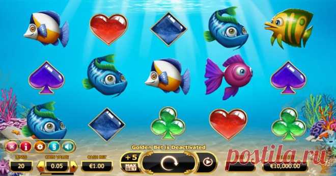 Golden Fish Tank