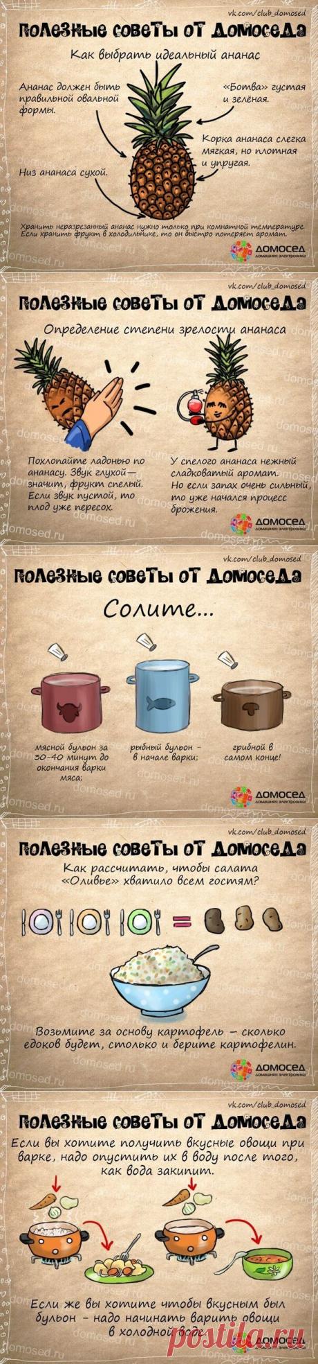 >Полезные советы от Домоседа - кулинария