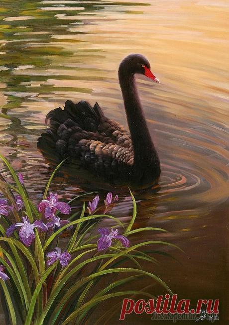 Корейская живопись. Кан Джон Хо – Kang Jung Ho (강정호) (реализм). Часть 3 из 3