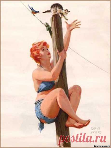 Мой блог: Хильда - очаровательная толстушка