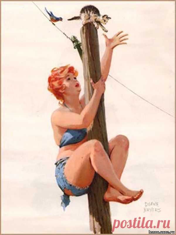 Мой блог: Хильда - очаровательная толстушка