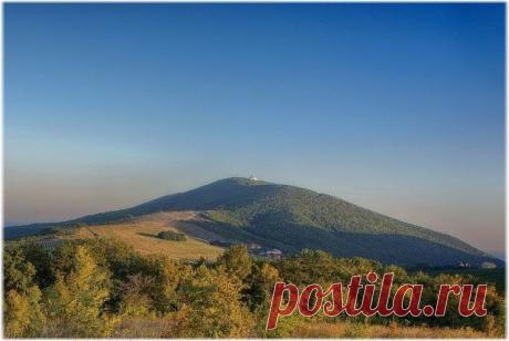 1 непрочитанный чат