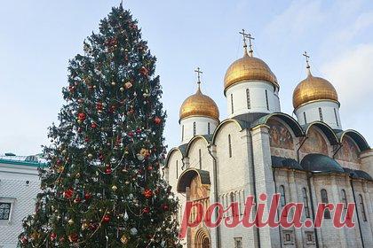 Украшенная главная елка России попала на видео. На Соборной площади Кремля в Москве украсили главную елку России. Дерево доставили в центр столицы в среду, 13 декабря. Уточняется, что возраст ели составляет 84 года. Ее высота достигает 25 метров, размах веток — 10 метров, а диаметр ствола — 60 метров. Дерево было выбрано среди 30 елей.