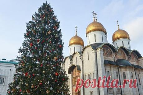 Украшенная главная елка России попала на видео. На Соборной площади Кремля в Москве украсили главную елку России. Дерево доставили в центр столицы в среду, 13 декабря. Уточняется, что возраст ели составляет 84 года. Ее высота достигает 25 метров, размах веток — 10 метров, а диаметр ствола — 60 метров. Дерево было выбрано среди 30 елей.
