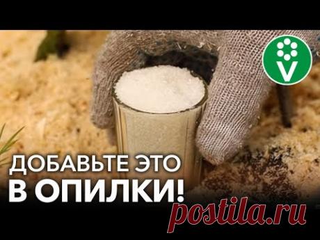 ЧТО ДОБАВИТЬ К ОПИЛКАМ, ЧТОБЫ ОНИ ПРЕВРАТИЛИСЬ В СУПЕР УДОБРЕНИЕ ДЛЯ РАСТЕНИЙ? Советует агроном