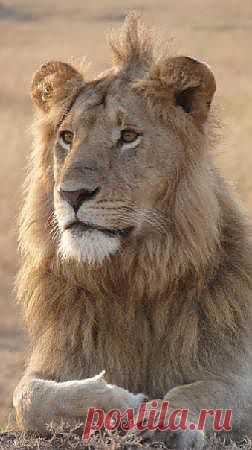 Фотостена - лучшие фотографии путешествий - TripAdvisor