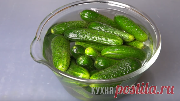 Хрустящие малосольные огурцы. Никогда ничего не взвешиваю и не отмеряю. Более простого рецепта я не встречала | Кухня наизнанку | Яндекс Дзен