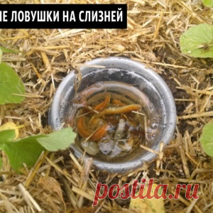 Новости - МирТесен