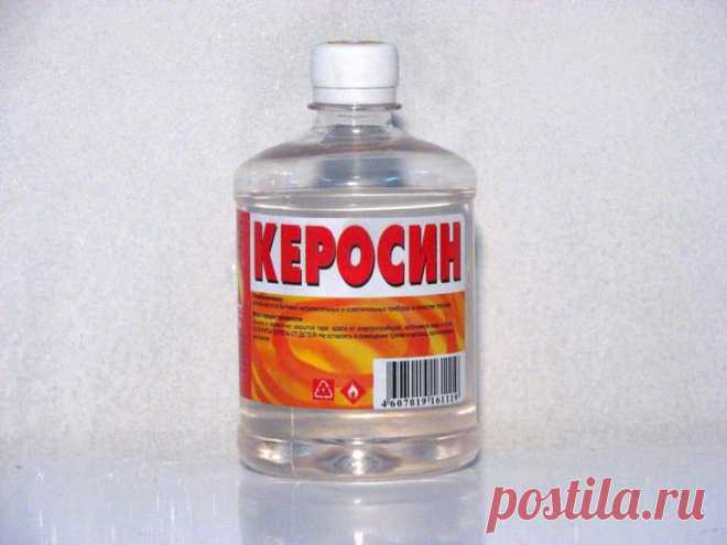 Обработка моркови от сорняков керосином