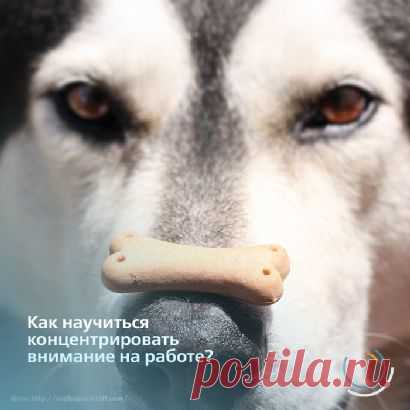 (20+) Добро пожаловать! | LinkedIn