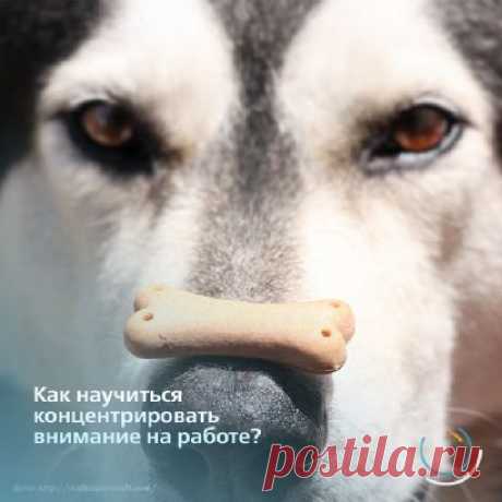 (20+) Добро пожаловать! | LinkedIn