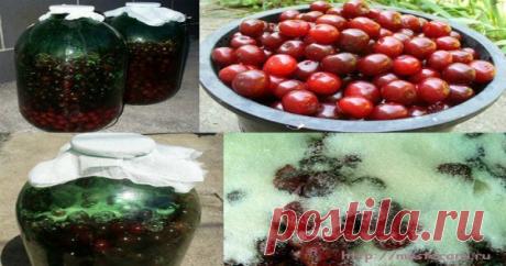 КАК ПРИГОТОВИТЬ НАЛИВКУ, НАСТОЙКУ — Копилочка полезных советов