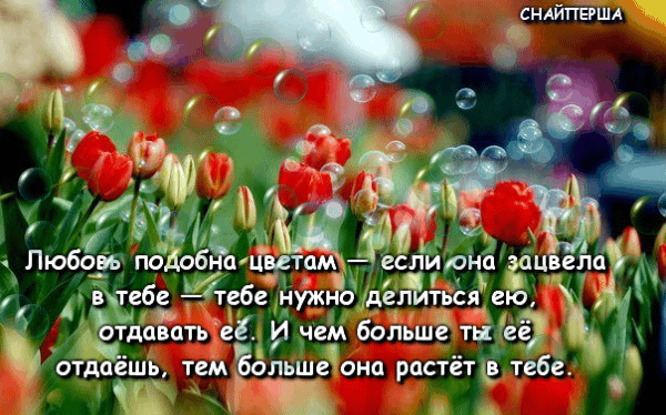 Мой Мир@Mail.Ru