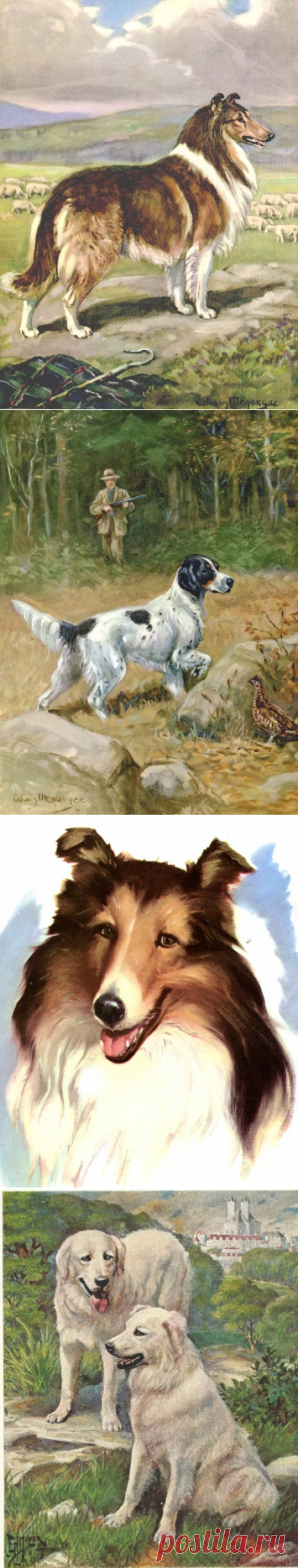 Vintage Dog Illustration Edwin Megargee by RoxyRani