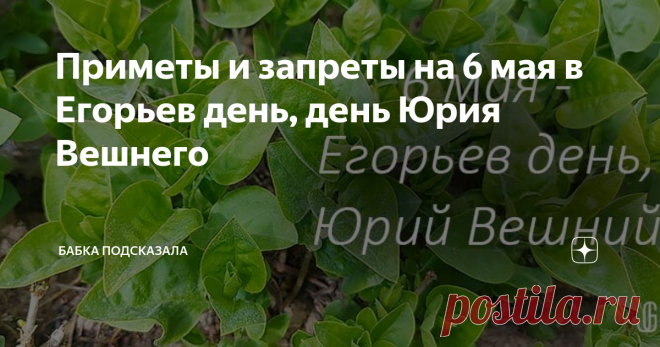 Приметы и запреты на 6 мая в Егорьев день, день Юрия Вешнего Приметы и запреты на 6 мая. Какой праздник отмечается 6 мая. Шестого мая - Георгий Победоносец, Егорьев день, Юрий Вешний. Народные приметы и запреты на 6 мая. По народным приметам, если день Юрия Вешнего выдался тёплым, то вскоре наступит настоящее летнее тепло. Дует холодный северный ветер - предстоящая осень будет короткая, рано морозы ударят. Комары роями летают - к значительному потеплению. Дождь льёт - к об...