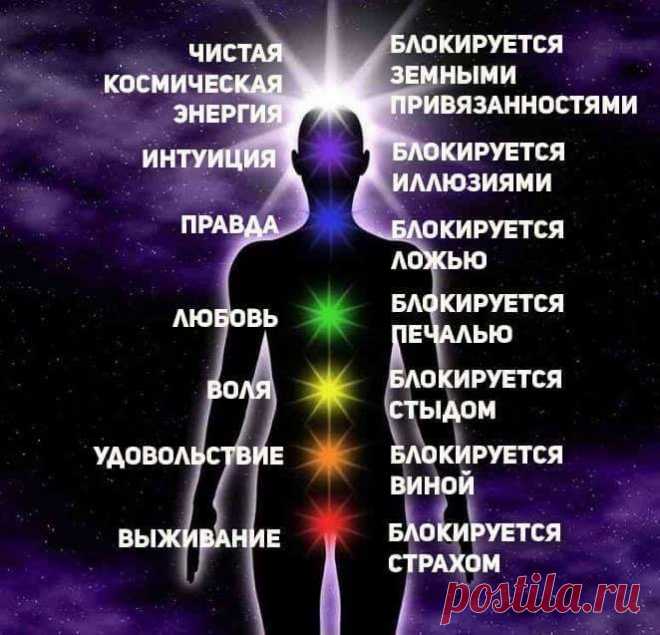 ПОЧЕМУ ПРАКТИКИ НЕ ДАЮТ ЖЕЛАЕМЫХ РЕЗУЛЬТАТОВ?
