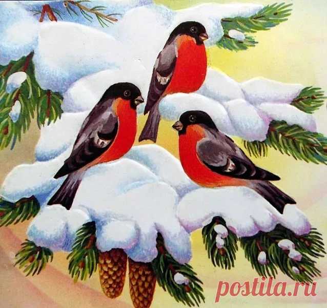 стих про снегирей .яблоки: 2 тыс изображений найдено в Яндекс.Картинках