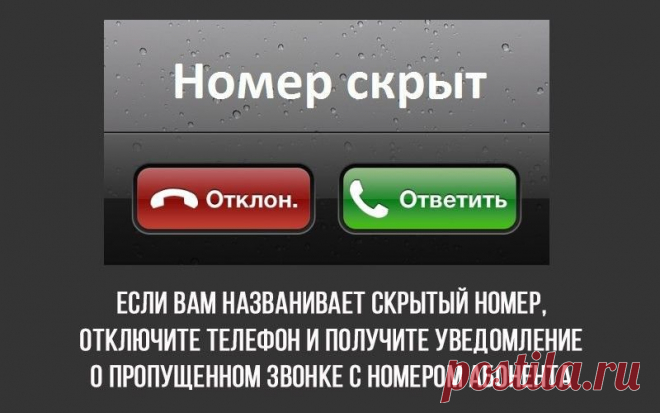8 интересных фактов (8 фото)
