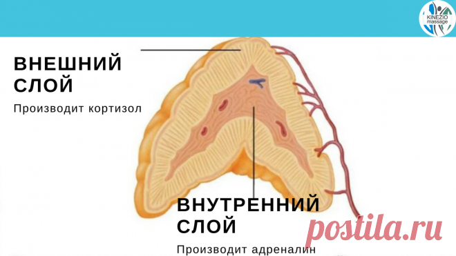 Стресс | Студия ФОТ и массажа | Яндекс Дзен