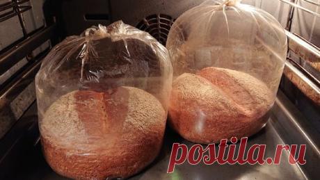Свекровь научила готовить цельно-зерновой хлеб в самом обычном пакете для запекания, делюсь рецептом. | Вкусняшка Yummy | Дзен