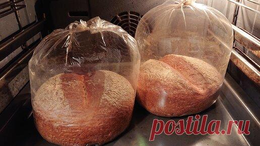 Свекровь научила готовить цельно-зерновой хлеб в самом обычном пакете для запекания, делюсь рецептом. | Вкусняшка Yummy | Дзен