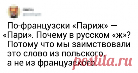 20+ фактов о языках мира от лингвиста из Питера, у которой все в порядке с чувством юмора Лингвист и художник Александра Голубева (@alphyna) устроила в твиттере грандиозную акцию. Она пообещала рассказывать по одному интересному факту о языках за каждый поставленный лайк. Исходный пост набрал более 9 тыс. «сердечек», а знания и юмор Александры все не иссякали.