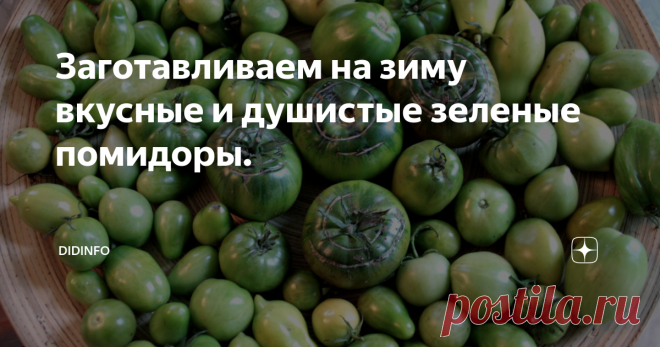 Заготавливаем на зиму вкусные и душистые зеленые помидоры. Никогда не была образцовой дачницей, но всегда с удовольствием читала всякие дачные форумы. И недавно узнала, что в этом году в средней полосе прямо беда-беда: помидоры надо было снять до 15 августа, иначе потом придёт страшный зверь фитофтора, а снимать-то особо и нечего: всё висит зеленцом. Естественно, друзья тут же стали писать и спрашивать рецепты приготовления зелёных помидоров. Не скажу,