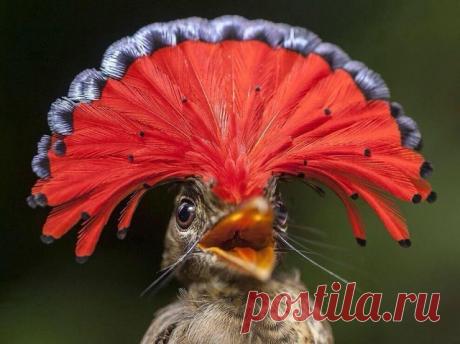 ТАйны и ЗАГадки