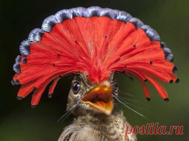 ТАйны и ЗАГадки